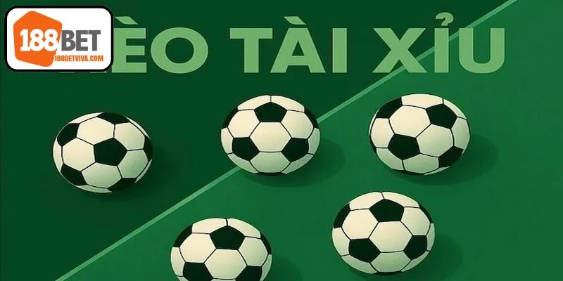 Hướng Dẫn Cá Cược Quần Vợt Dễ Hiểu và Nhanh Thắng Đậm 19 Đánh giá biến động cách đọc kèo tài xỉu trong thực tế