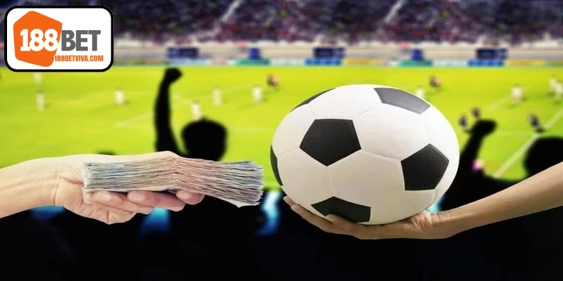 Hướng Dẫn Cá Cược Quần Vợt Dễ Hiểu và Nhanh Thắng Đậm 18 Cách đọc tỷ lệ trong hướng dẫn cá cược bóng đá